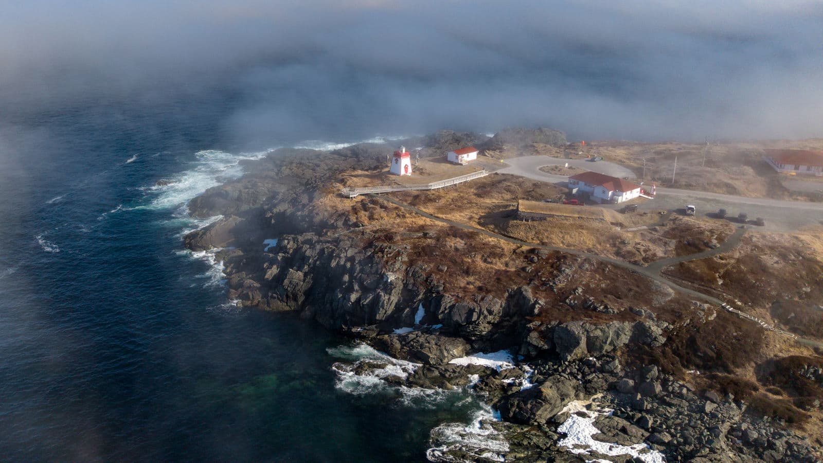 Penguins in Antarctica